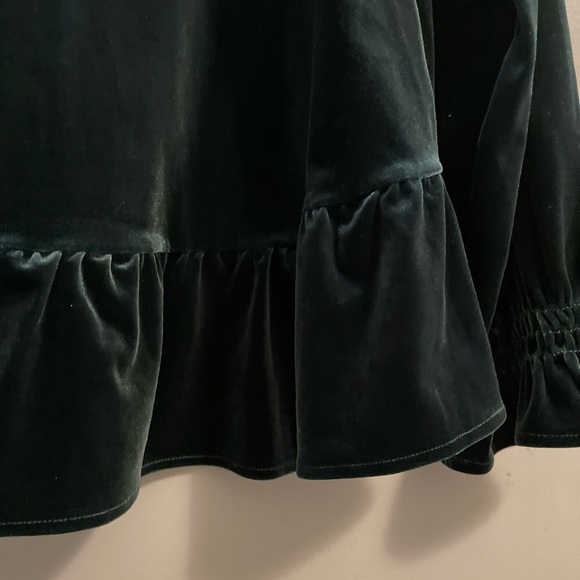 Soft Surroundings Floriana Velvet Peplum Ruffle Blouse Pine Grove Size Medium - Picture 8 of 13